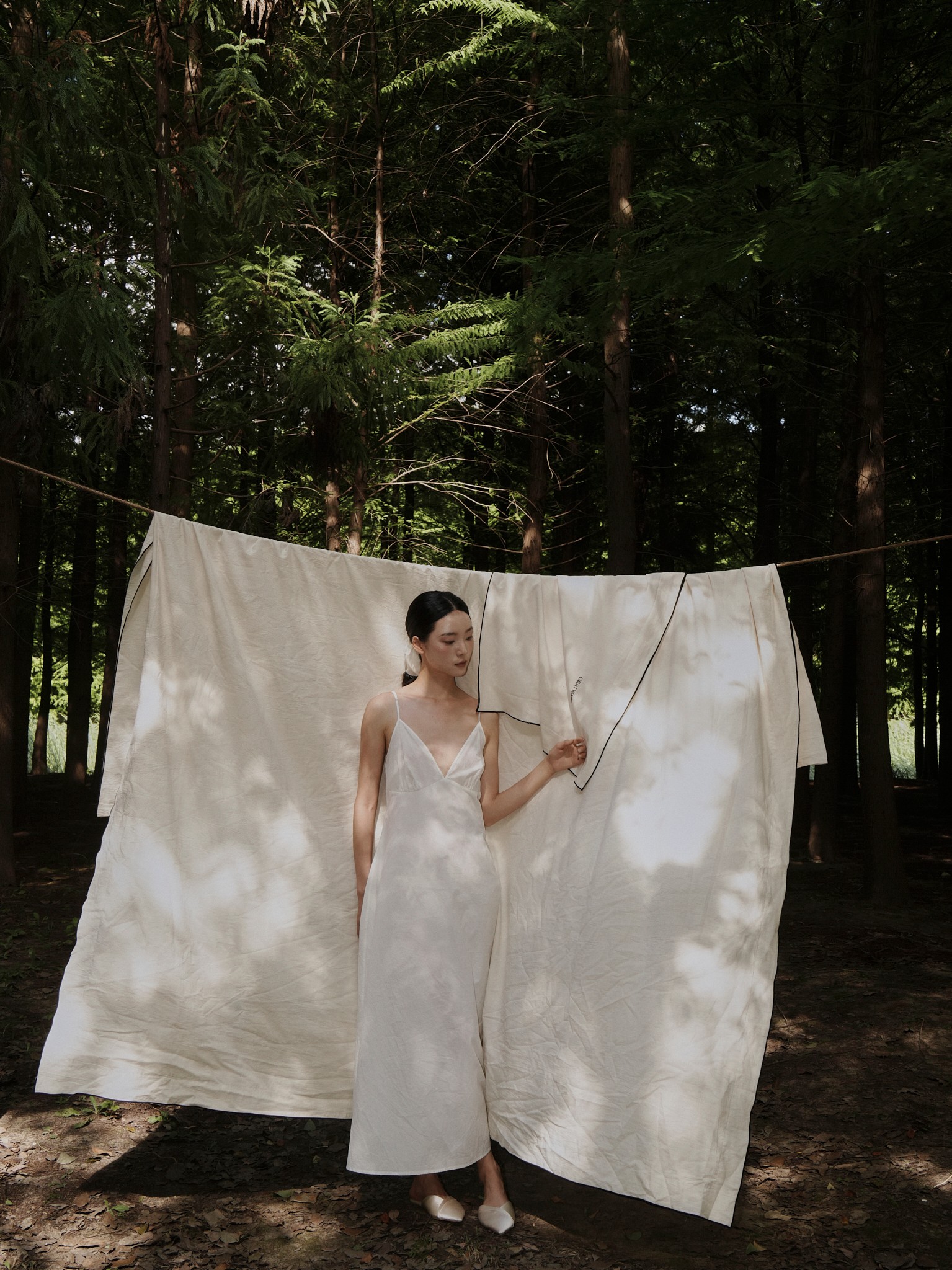 自然中的品牌精神